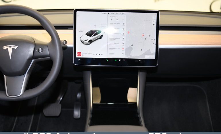 Tesla Model Y Standard 2021 full