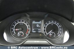 Skoda Octavia 2.0 TDI VRS Automatas 2013 full