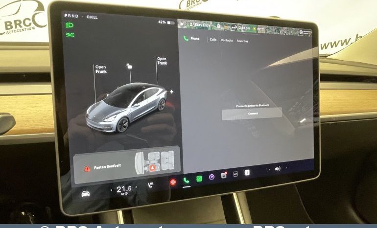 Tesla Model 3 Standart Range Plus 2020 full