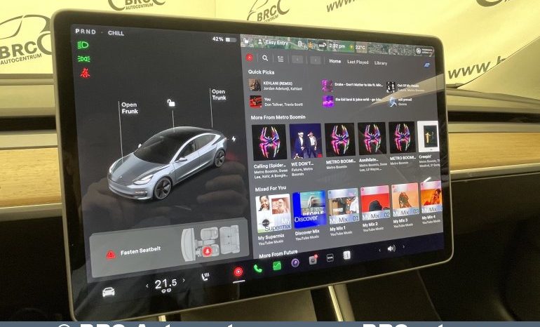 Tesla Model 3 Standart Range Plus 2020 full