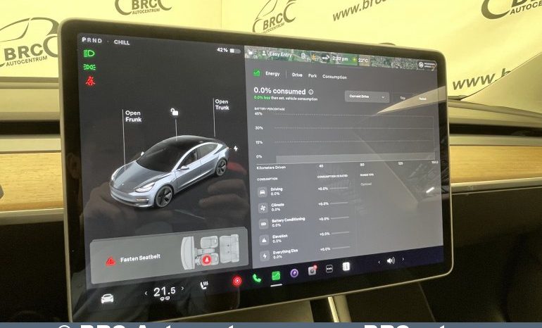 Tesla Model 3 Standart Range Plus 2020 full