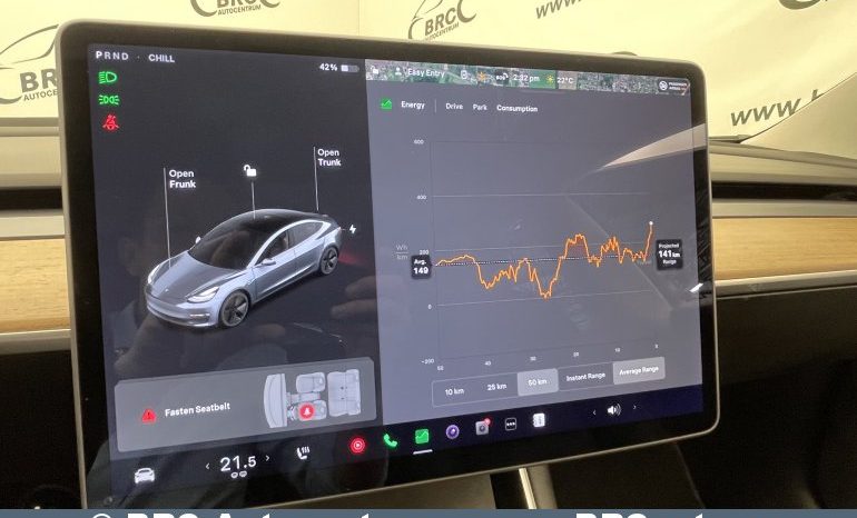 Tesla Model 3 Standart Range Plus 2020 full