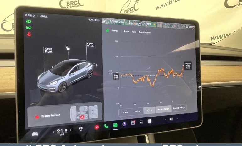 Tesla Model 3 Standart Range Plus 2020 full