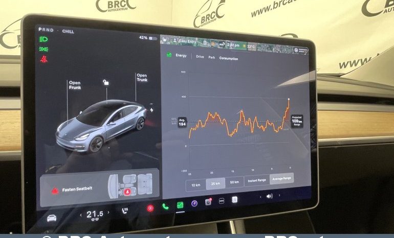 Tesla Model 3 Standart Range Plus 2020 full