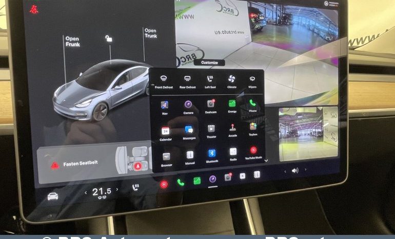 Tesla Model 3 Standart Range Plus 2020 full