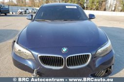 BMW 228 i Coupe xDrive Automatas 2015 full