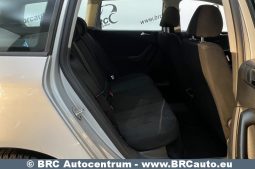 Volkswagen Passat 2.0 TDI DSG Automatas 2007 full