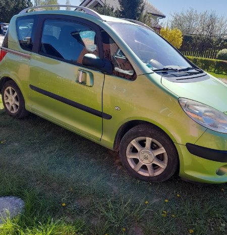 Parduodamas nedaužtas Peugeot 1007, 1.3 l Vienatūris Peugeot 1007 full