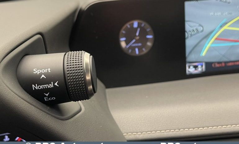 Lexus UX 250h Hybrid Automatas 2019 full