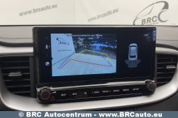 Kia Ceed 1.5 T-GDI Mild Hybrid Automatas 2024 full
