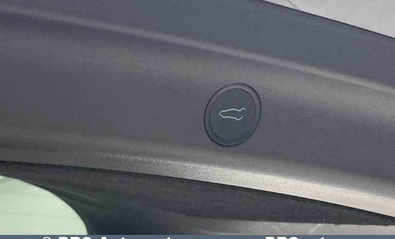 Tesla Model Y Performance Dual Motor 2023 full