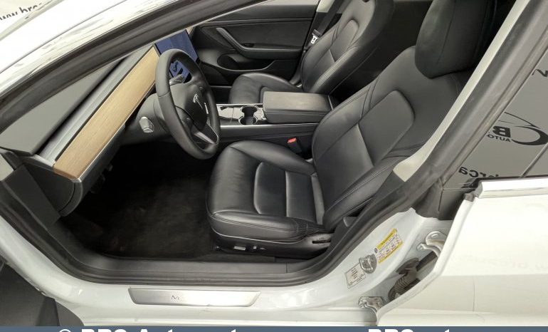 Tesla Model 3 Standart Range 2020 full