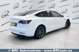 Tesla Model 3 Standart Range 2020 full