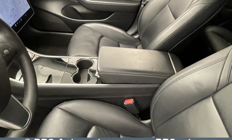 Tesla Model 3 Standart Range 2020 full