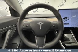 Tesla Model 3 Standart Range 2020 full
