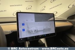 Tesla Model 3 Standart Range 2020 full
