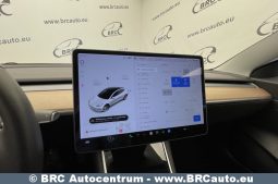 Tesla Model 3 Standart Range 2020 full