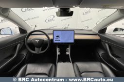 Tesla Model 3 Standart Range 2020 full