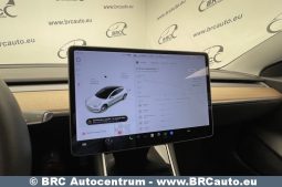 Tesla Model 3 Standart Range 2020 full