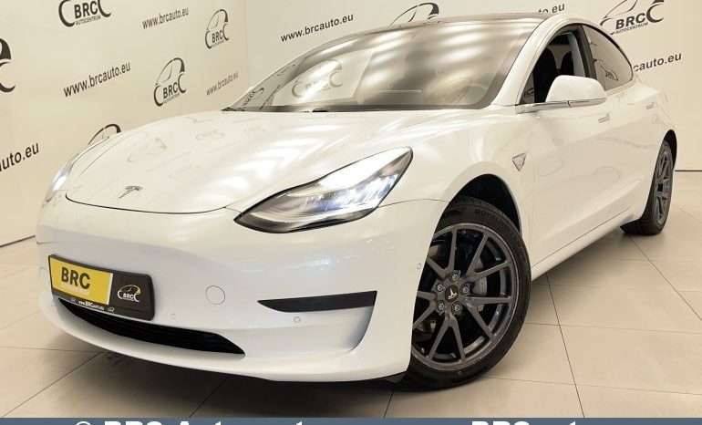 Tesla Model 3 Standart Range 2020 full