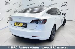 Tesla Model 3 Standart Range 2020 full