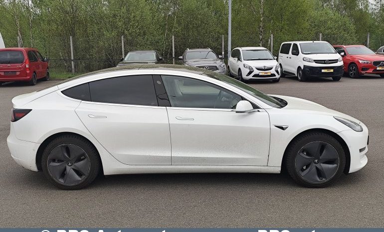 Tesla Model 3 Standart Plus 2019 full
