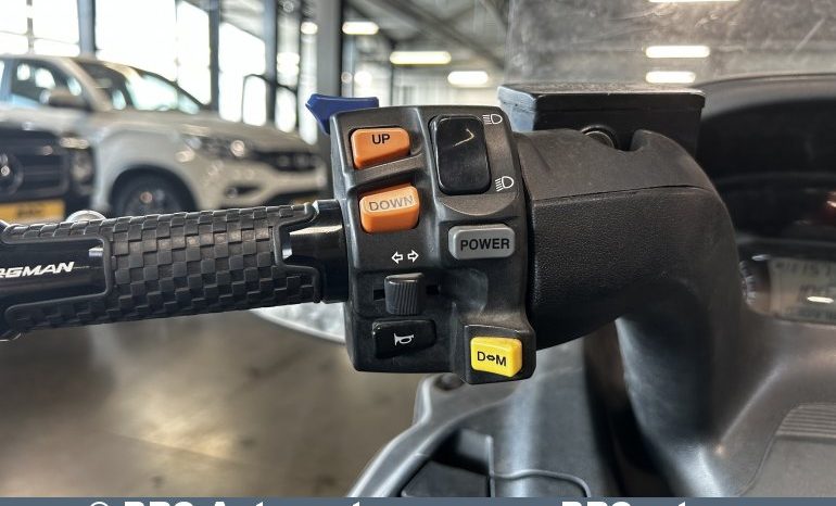 Suzuki Burgman 650 2015 full