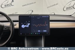 Tesla Model 3 Standart Plus 2019 full
