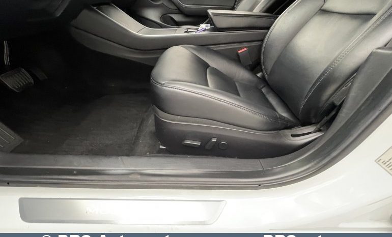Tesla Model 3 Standart Plus 2019 full