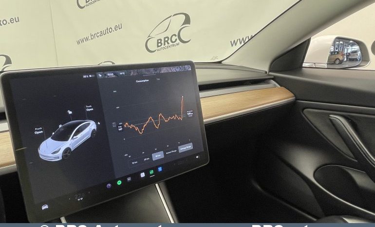 Tesla Model 3 Standart Plus 2019 full