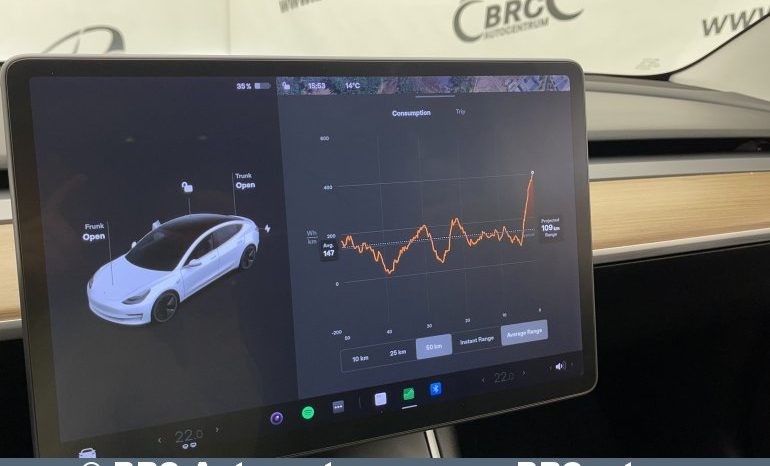 Tesla Model 3 Standart Plus 2019 full