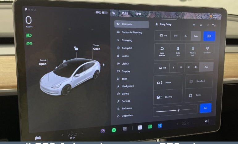 Tesla Model 3 Standart Plus 2019 full