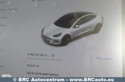 Tesla Model 3 Standart Plus 2019 full