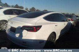 Tesla Model 3 Standart Plus 2019 full
