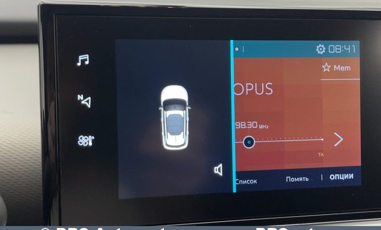 Citroen C4 Cactus 1.5 BlueHDi 2019 full