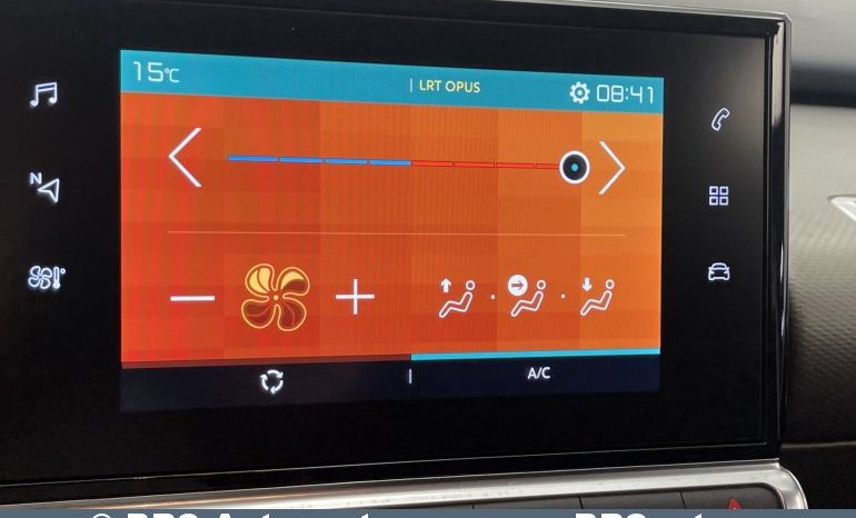 Citroen C4 Cactus 1.5 BlueHDi 2019 full