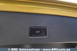 Volkswagen T-Roc 1.5 TSI DSG Automatas 2019 full