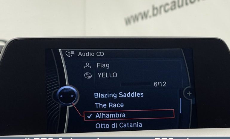 BMW 318 d Touring Automatas 2013 full