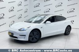 Tesla Model 3 Standart Plus 2019