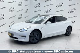 Tesla Model 3 Standart Plus 2019