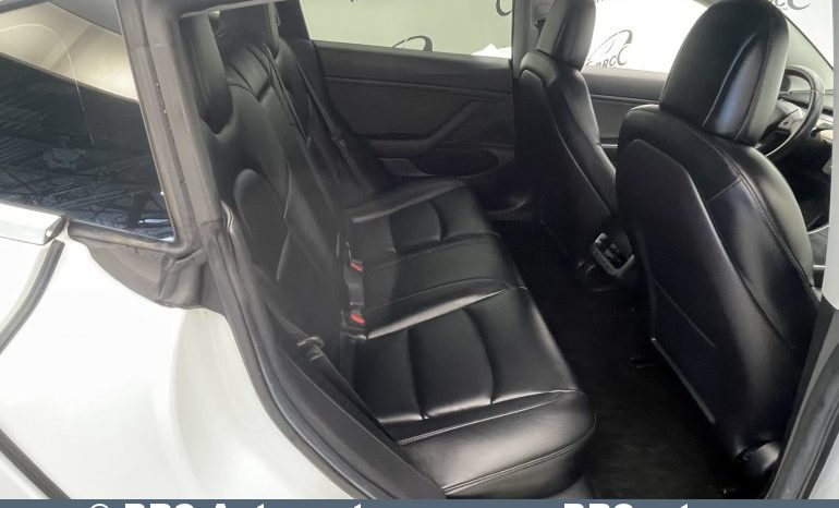 Tesla Model 3 Standart Plus 2019 full