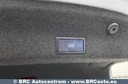 Volkswagen Passat 2.0TDI DSG 4Motion Business Automatas 2016 full