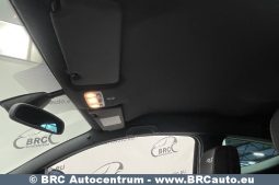 Renault Megane RS 2.0 16V 250 AG 2011 full