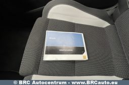 Renault Megane RS 2.0 16V 250 AG 2011 full