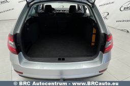 Skoda Octavia 1.5 TSI DSG G-TEC 2020 full