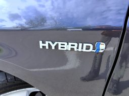 Toyota Prius 2010 full