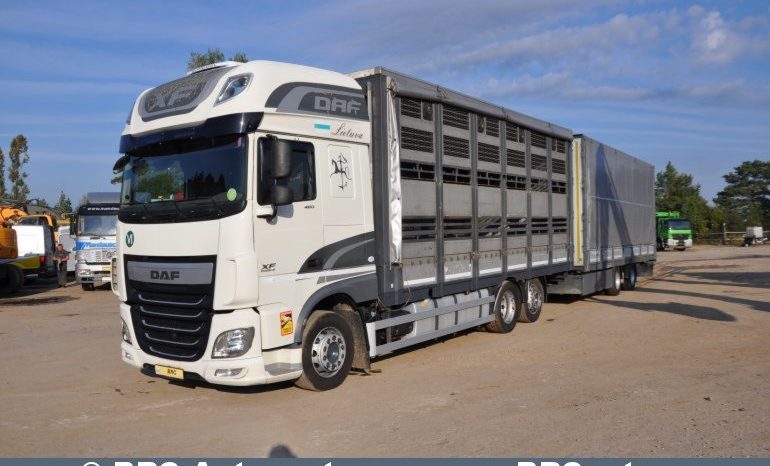 DAF XF 460 FAR + trailer Krone. Horse 22unit. 2016 full