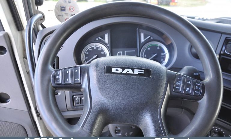 DAF XF 460 FAR + trailer Krone. Horse 22unit. 2016 full
