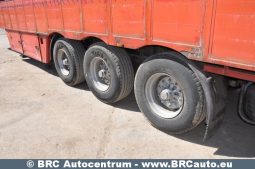Pezzaioli SCT63U  2001 full