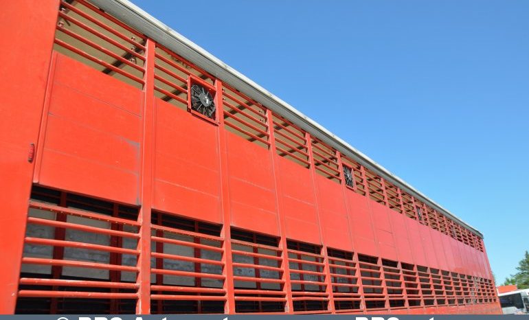 Pezzaioli SCT63U  2001 full